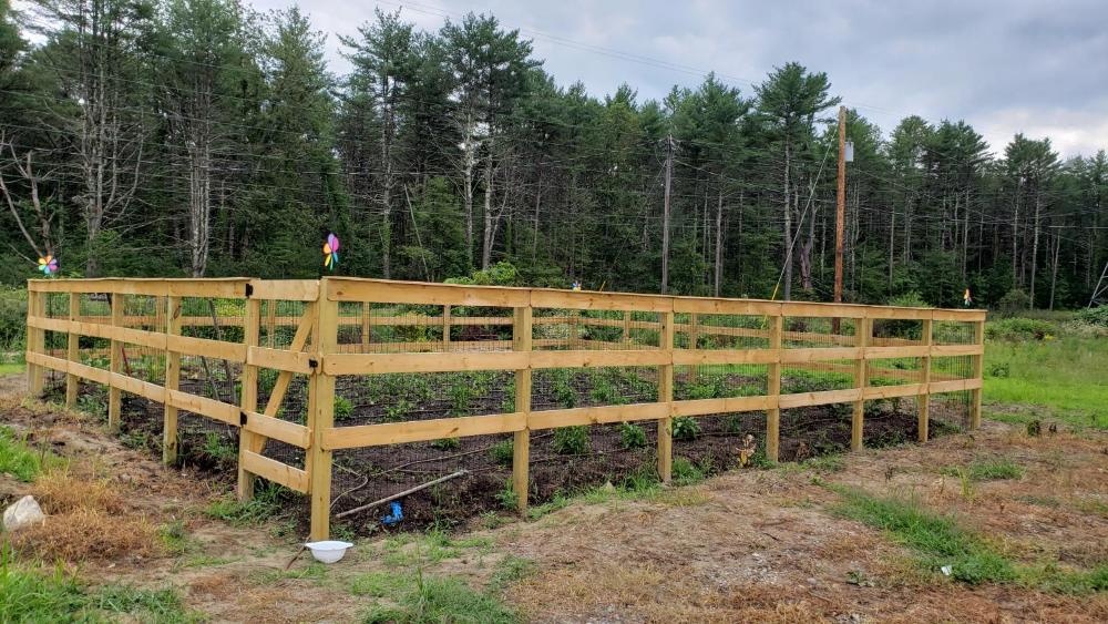 Sara Glen Motel - Saratoga Springs-Glens Falls